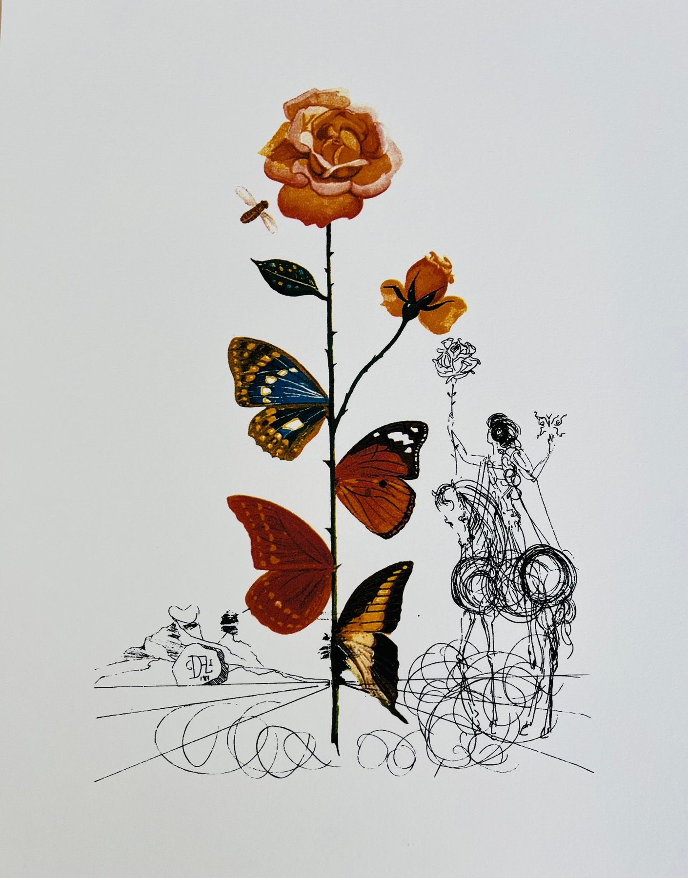 Salvador DALÍ. Flora Dalinae: Rosa Papillonacea, 1979. Litografía serie limitada