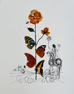 Cargar imagen en el visor de la galería, Salvador DALÍ. Flora Dalinae: Rosa Papillonacea, 1979. Litografía serie limitada
