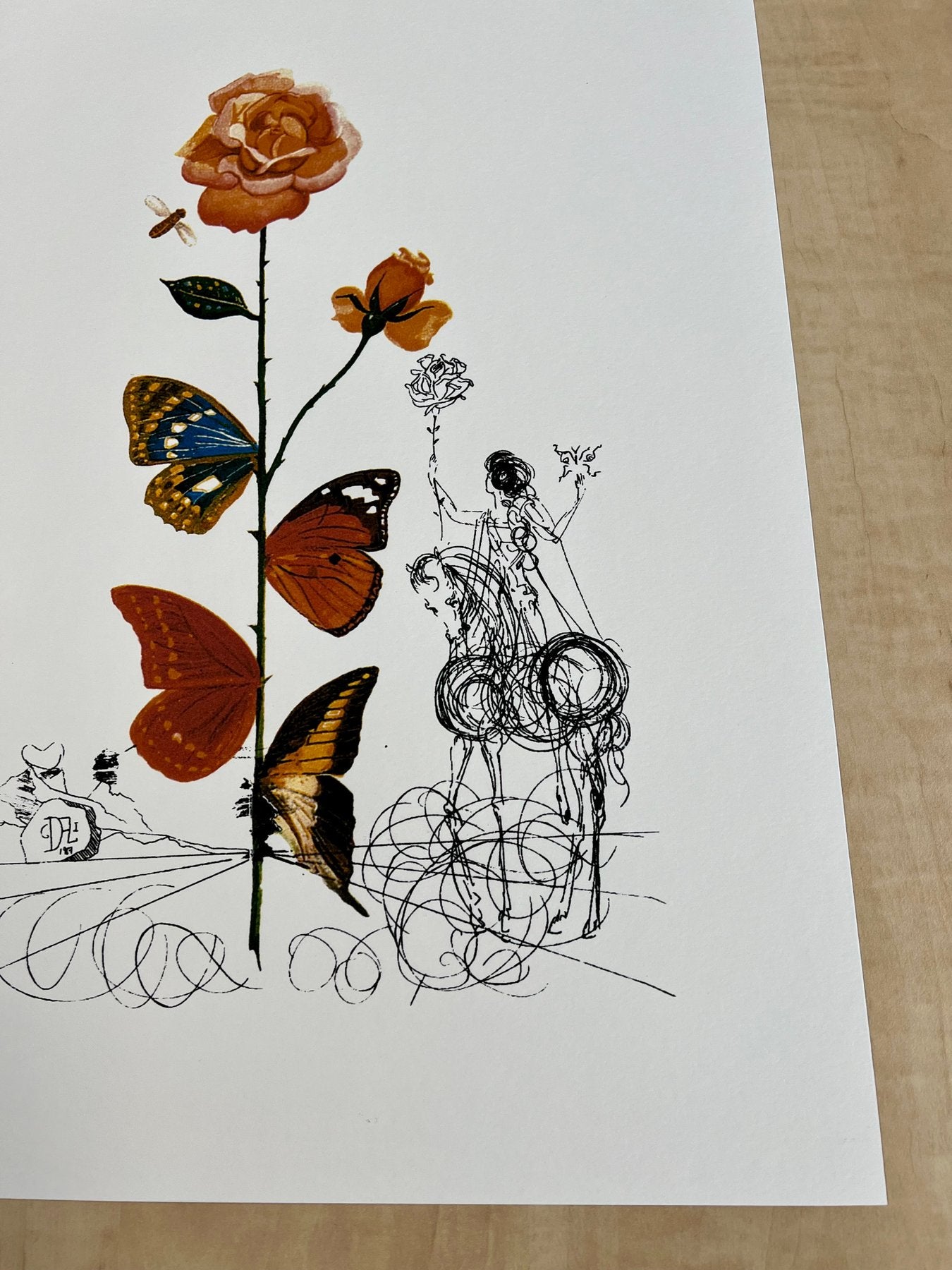 Salvador DALÍ. Flora Dalinae: Rosa Papillonacea, 1979. Litografía serie limitada