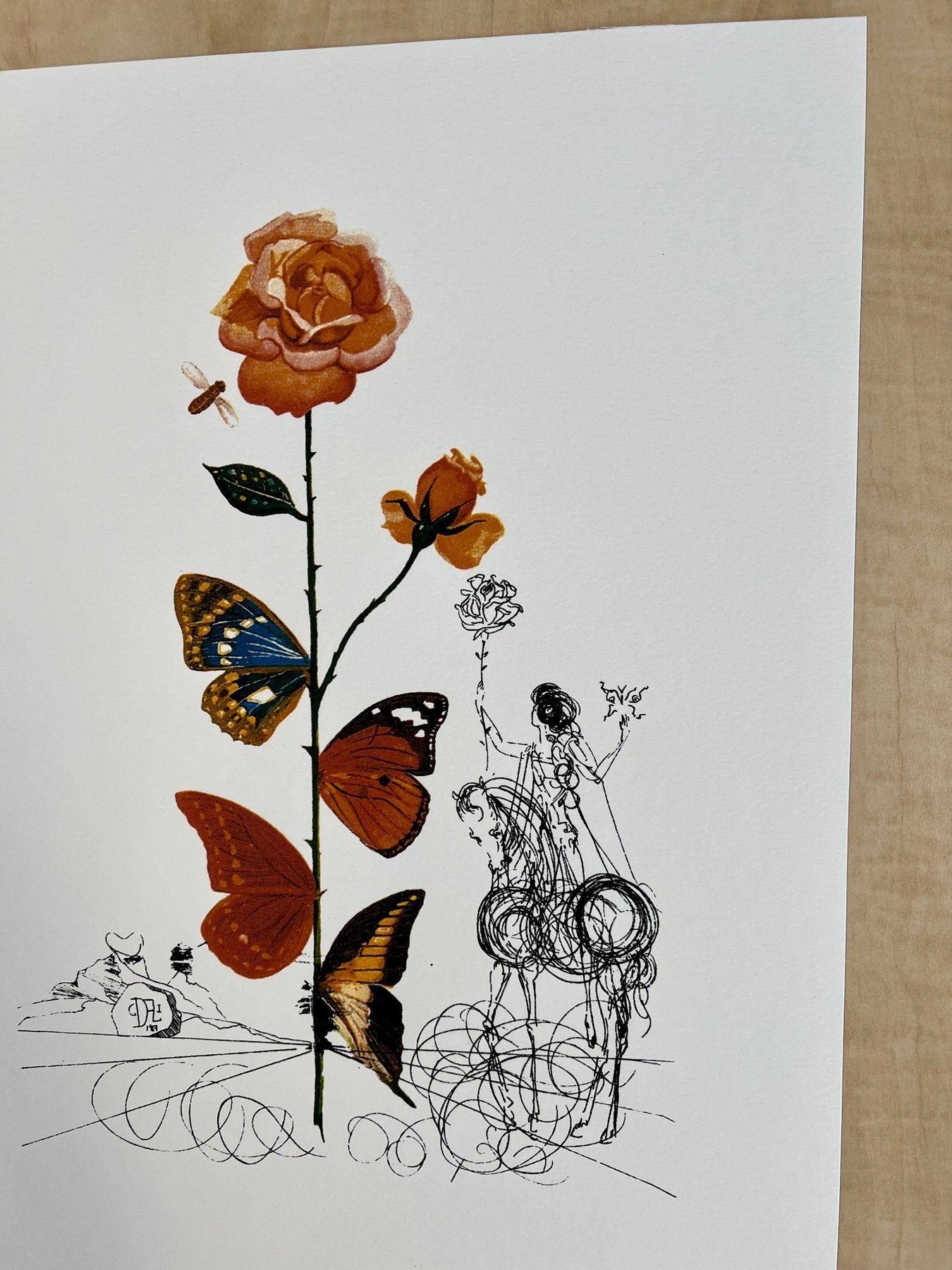 Salvador DALÍ. Flora Dalinae: Rosa Papillonacea, 1979. Litografía serie limitada