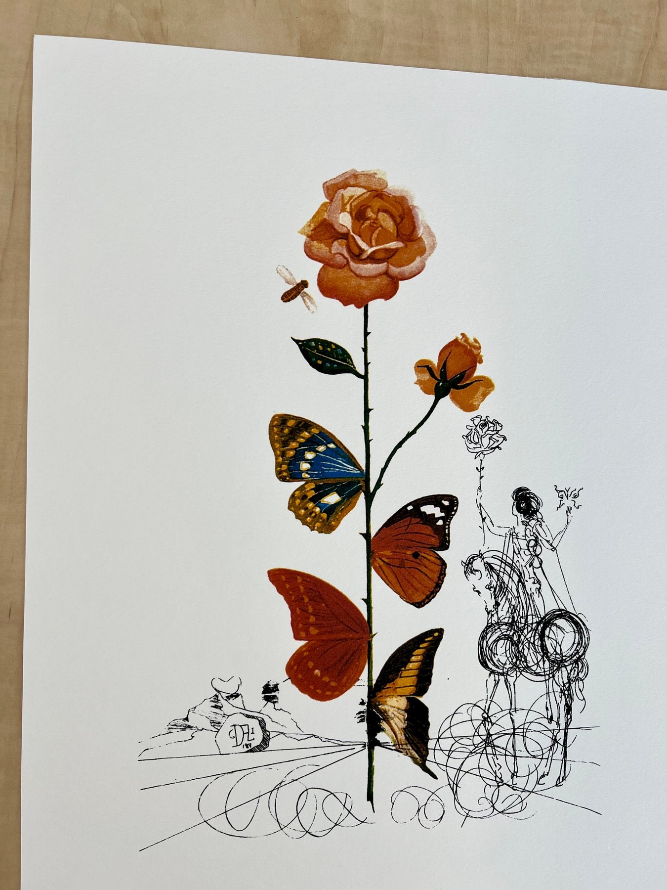 Salvador DALÍ. Flora Dalinae: Rosa Papillonacea, 1979. Litografía serie limitada