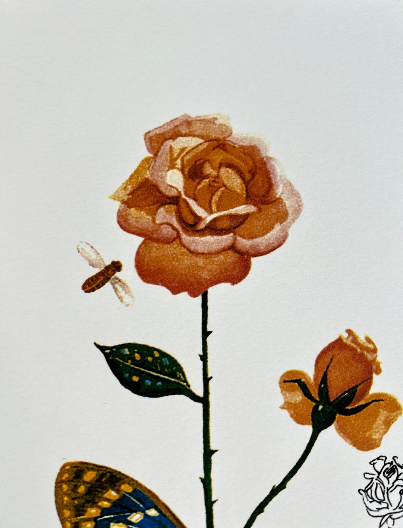 Salvador DALÍ. Flora Dalinae: Rosa Papillonacea, 1979. Litografía serie limitada