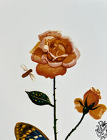 Cargar imagen en el visor de la galería, Salvador DALÍ. Flora Dalinae: Rosa Papillonacea, 1979. Litografía serie limitada
