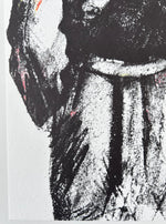 Load image into Gallery viewer, Andes, 2014. Original signed lithograph
