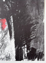 Load image into Gallery viewer, Andes, 2014. Original signed lithograph
