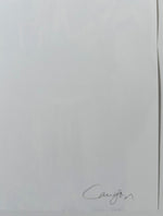 Load image into Gallery viewer, Andes, 2014. Original signed lithograph
