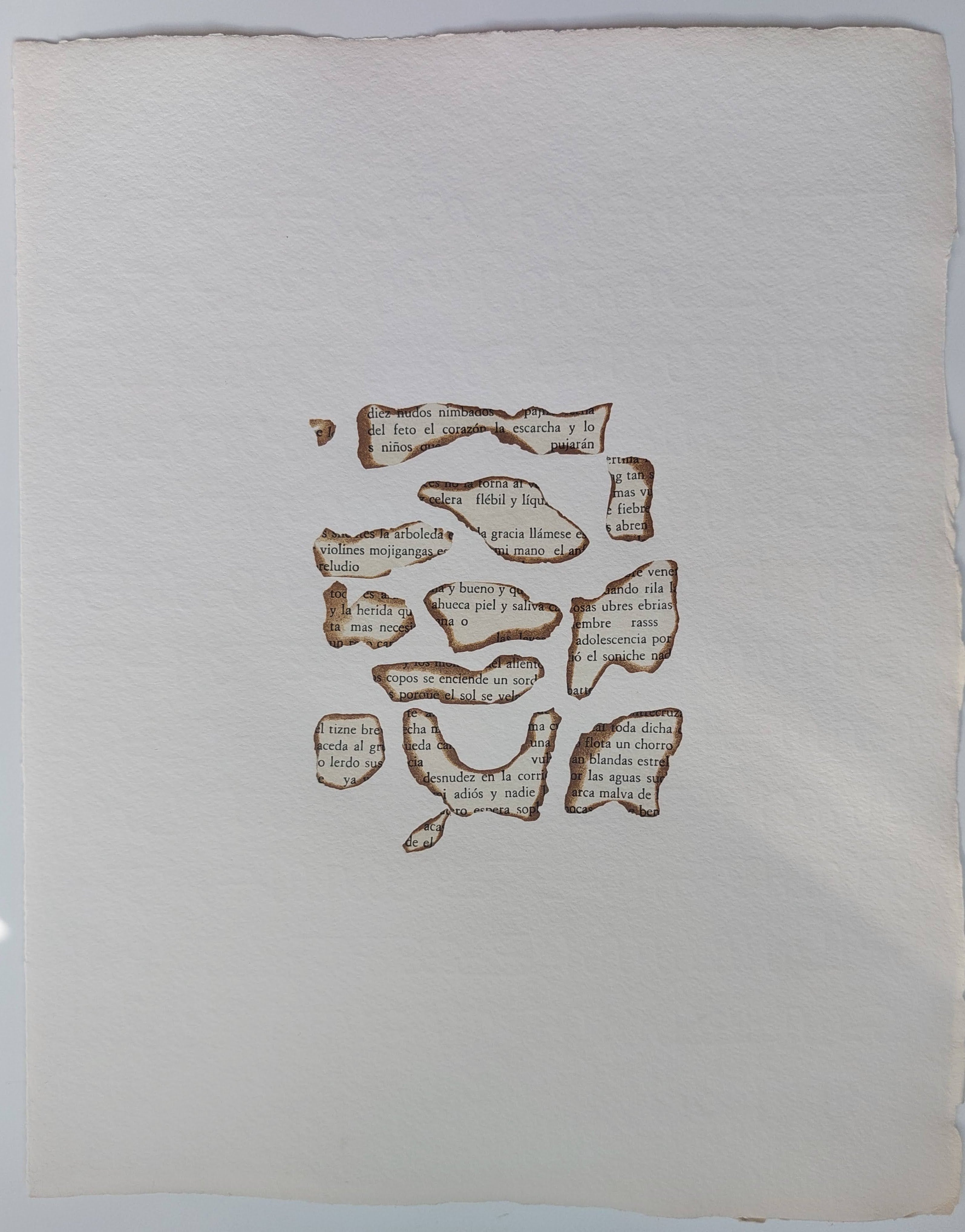 Pablo PALAZUELO. Ardicia, 1978. Grabado original serie limitada