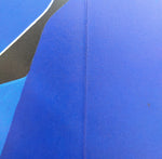 Load image into Gallery viewer, Lunariae, 1974. DLM lithograph
