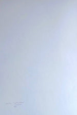 Load image into Gallery viewer, Pablo PICASSO. Carnaval (Le Clown), 1981 (1962). Litografía
