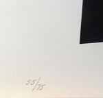 Cargar imagen en el visor de la galería, Luis FEITO. Carcajou VI, 1975. Serigrafía original firmada
