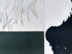 Cargar imagen en el visor de la galería, Eduardo ARROYO. Abano Terme, 2012. Obra gráfica original firmada

